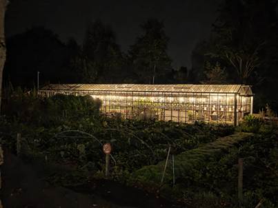 Genieten van schoonheid